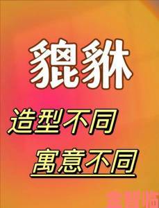 давой真实含义大揭秘为何全网年轻人都在疯狂讨论这个梗