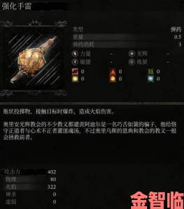 《堕落之主》武器强化的实用攻略