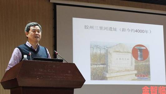 枫与玲争议事件持续发酵专家解读背后社会文化成因