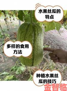 草莓榴莲香蕉丝瓜十八岁可以吃吗年轻人热议水果混搭是否存在健康风险