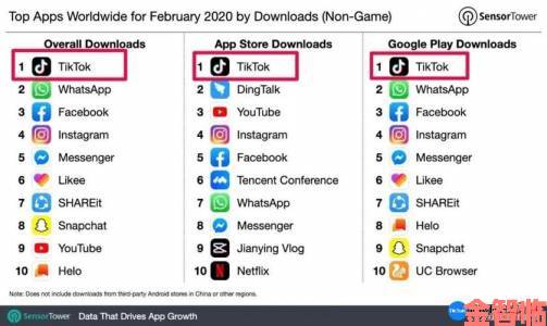 tiktok18+破解版是否存在安全隐患专家深度剖析