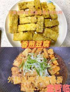 江湖悠香：香煎豆腐食谱配方全览