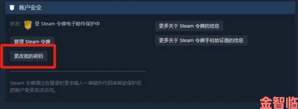 晚报|官方严查账号安全Steam密码设置要求必须避开三大误区