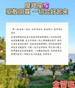 高校涌现负能量收集社” 以极速飙车驱散阴霾