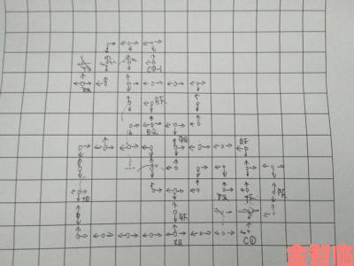 闪耀暖暖树墙迷宫通关指南详细解析