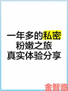 粉嫩XB粉嫩XB粉嫩XB深度测评真实使用体验与隐藏功能全解析