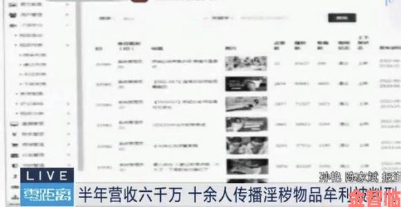 国产精品入口免费网站涉嫌盗版影视作品举报方式公布