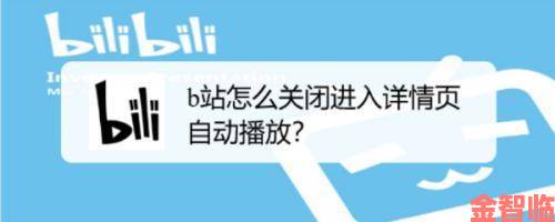 B站入口直接进入深度解析如何绕过限制秒开高清页面