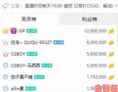 俄罗斯女CSGO赛事直播创纪录在线人数突破百万大关