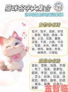 网友实测猫咪免费永久地域网名是什么真能永久使用还是文字游戏