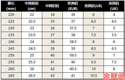 欧洲尺码日本尺码专线不卡顿看海淘老手如何解决国际物流糟心事