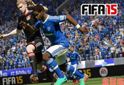 《FIFA 15》在WIN8.1系统下无法进入游戏的解决方法