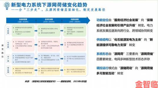 九九电网理论是怎么样的深度解析这一颠覆性概念为何受质疑