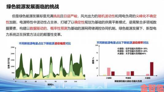 九九电网理论是怎么样的深度解析这一颠覆性概念为何受质疑