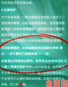 新视觉实战指南如何通过举报推动问题高效解决