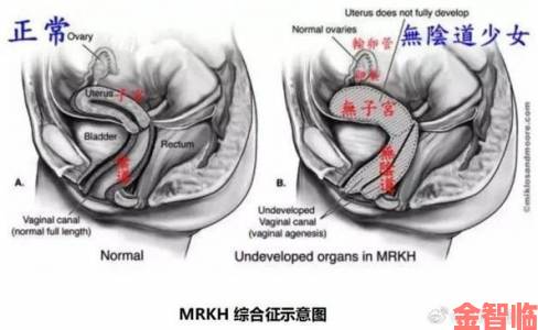 女子下部bbb欣赏引热议学者剖析身体认知变迁史