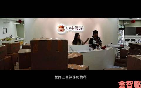 创新引领发展：小牛互娱的突围”之道