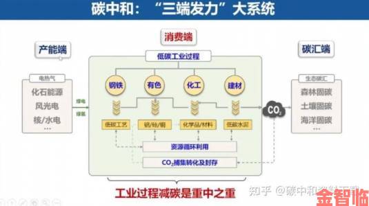 下节目的内容还能复活吗深度解析重新获取资源的五大路径