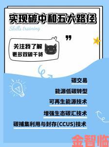 下节目的内容还能复活吗深度解析重新获取资源的五大路径