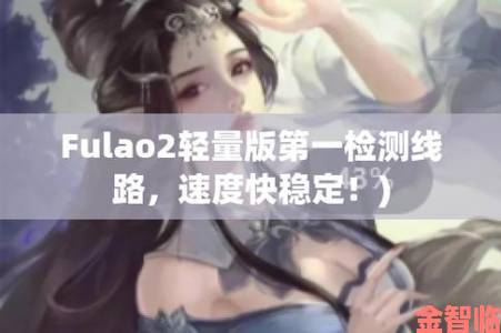 fulao2轻量版检测线路3技术迭代背后开发者团队独家专访