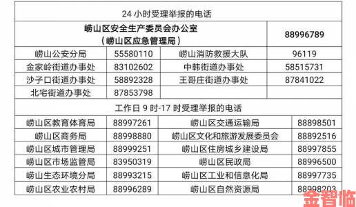 体验|精品亚洲一区二区三区四区五区高内容审查漏洞引众怒举报方式全解析