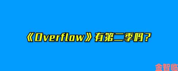 独家|漾出overflower意外曝光引发全球科技巨头紧急召开闭门会议