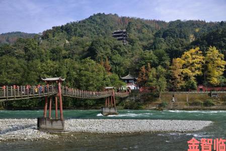 反馈|卧龙吟六载匆匆 周年庆版本重磅爆料