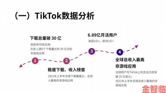 tiktok免费版人版最新政策解读创作者必看的五大生存法则