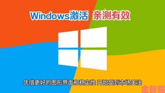 windows永久免费版用户真实评价两极分化背后原因揭秘