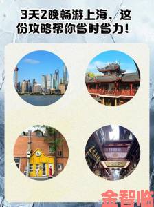 如何高效利用大地资源网更新免费播放视频这份攻略帮你省时又省力