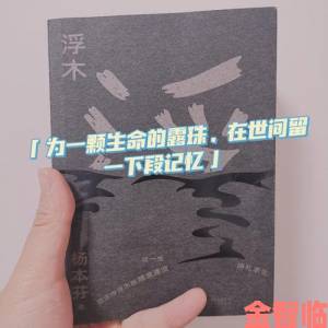 《卡拉彼丘手游：记忆序列攻略，记忆序列到底是什么？》