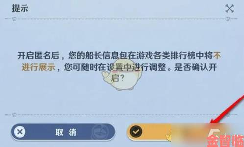 航海王壮志雄心排行榜信息隐藏及匿名不显示方法