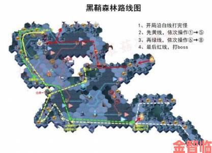 剑与远征黑鞘森林路线及通关一图流攻略