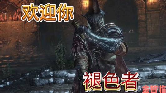 《黑暗之魂3》PVP巅峰对决：阴险老司机间的智商较量