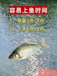 桃源深处有人家：钓鱼的最佳时机与技巧分享