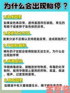 胎停前其实有暗示信号孕早期必须掌握的十大警报信号清单