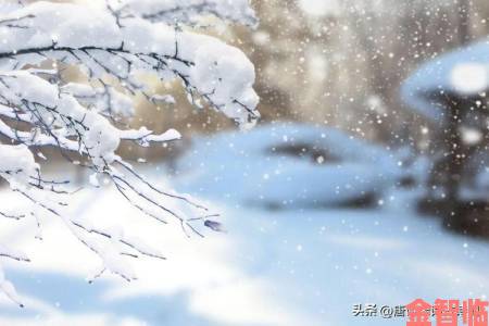 如何精准掌握小雪的13又嫩又紧又多水电影节奏与看点