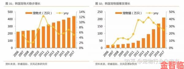 日韩五码凭什么横扫市场？三大核心优势与选购技巧公开