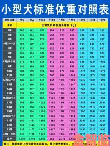 狗大壮增肥增食欲实测报告 狗狗猛涨精肉效果究竟如何