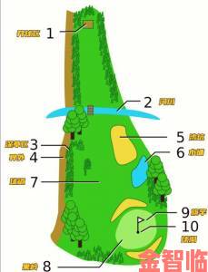 高尔夫场地适应技巧：不同地形如何巧妙将球塞进球洞