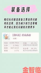 貂蝉与两只大兔子的奇幻冒险装备强化路线及属性搭配心得