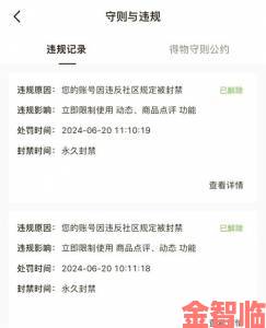 视频久久举报功能升级用户如何高效提交违规证据