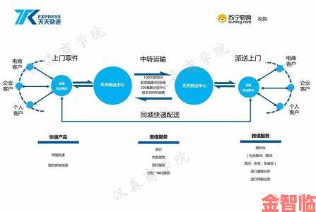 张莜雨与行业巨头合作内幕揭秘改写行业规则的背后博弈