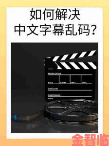 中文字字幕在线中文乱码怎么设置资深编辑亲测有效解决方案