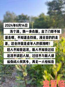 全网都在追问小草回家永不迷路2024背后的残酷现实