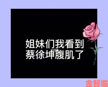 坤坤寒进桃子里角色培养攻略：属性加点与团队配置详解