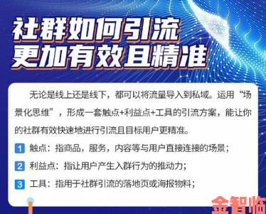 欧美与动交zoz0z圈层必看：三大实战攻略助你精准融入社群