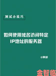 快讯|404免费入口终极攻略手残党也能学会的稳定访问技巧大公开