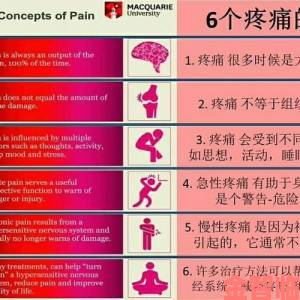 疼痛之轮wheelofpain技术详解二十位临床医师联名解读报告