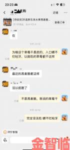 网友热议草莓视频在线为何成为年轻人深夜必备神器